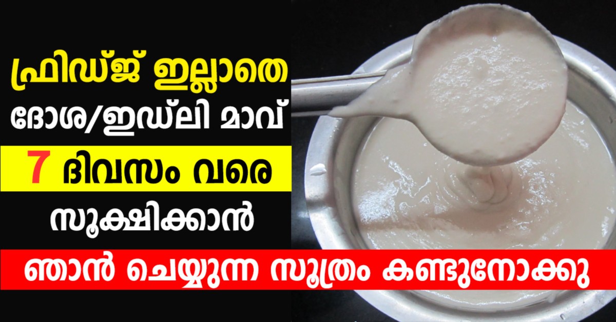 ഇഡ്‌ലി മാവ്